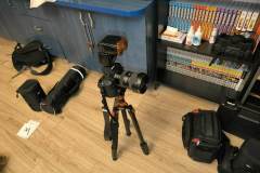 6cc36e24-2166-42a8-bd36-c2236d5daf73